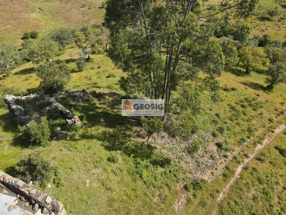 Quinta T1 para Venda em Almodôvar e Graça dos Padrões Foto 4