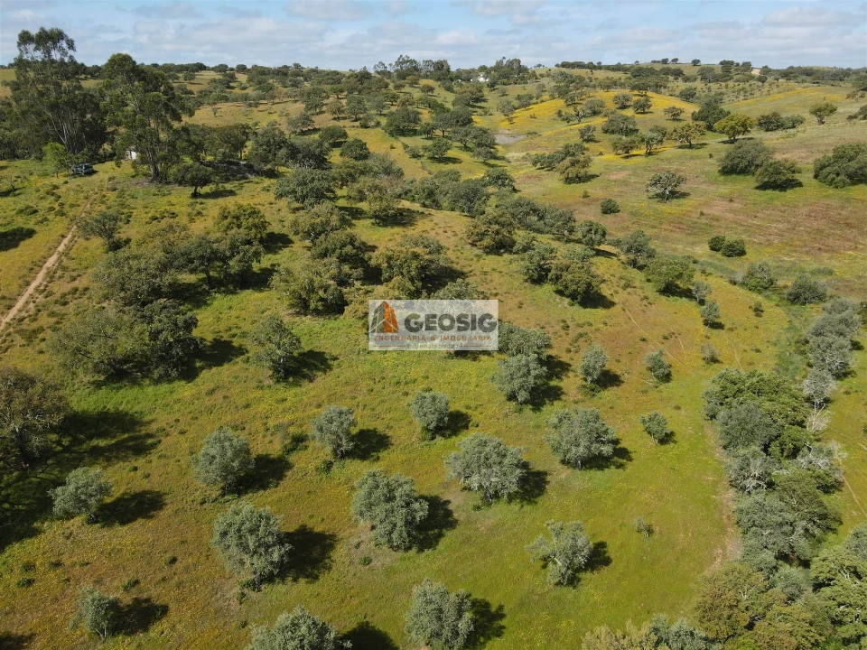 Quinta T1 para Venda em Almodôvar e Graça dos Padrões Foto 32