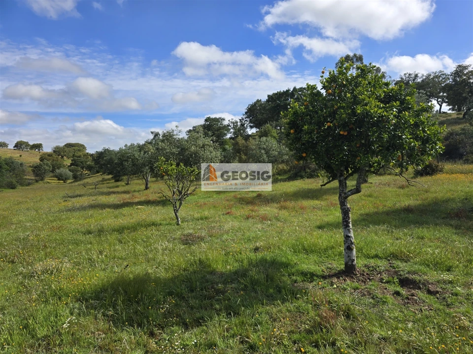 Quinta T1 para Venda em Almodôvar e Graça dos Padrões Foto 17