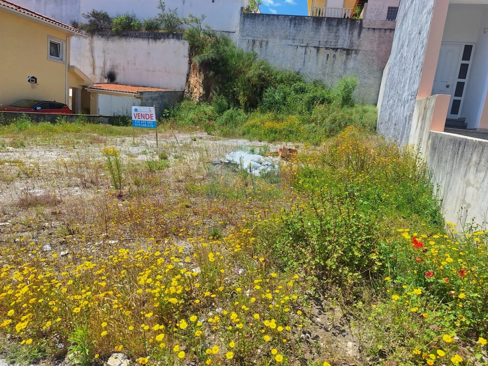 Terreno para Venda em Mirandela Foto 4