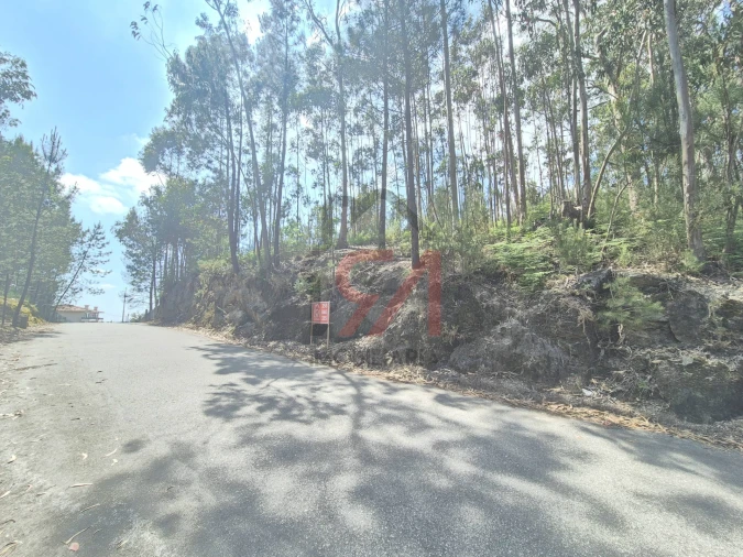 Terreno para Venda em Freamunde Foto 2