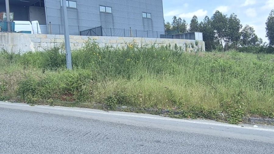 Terreno para Venda em Freamunde