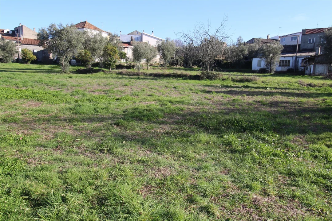 Moradia T4 para Venda em Vila Nova de Tazem Foto 18