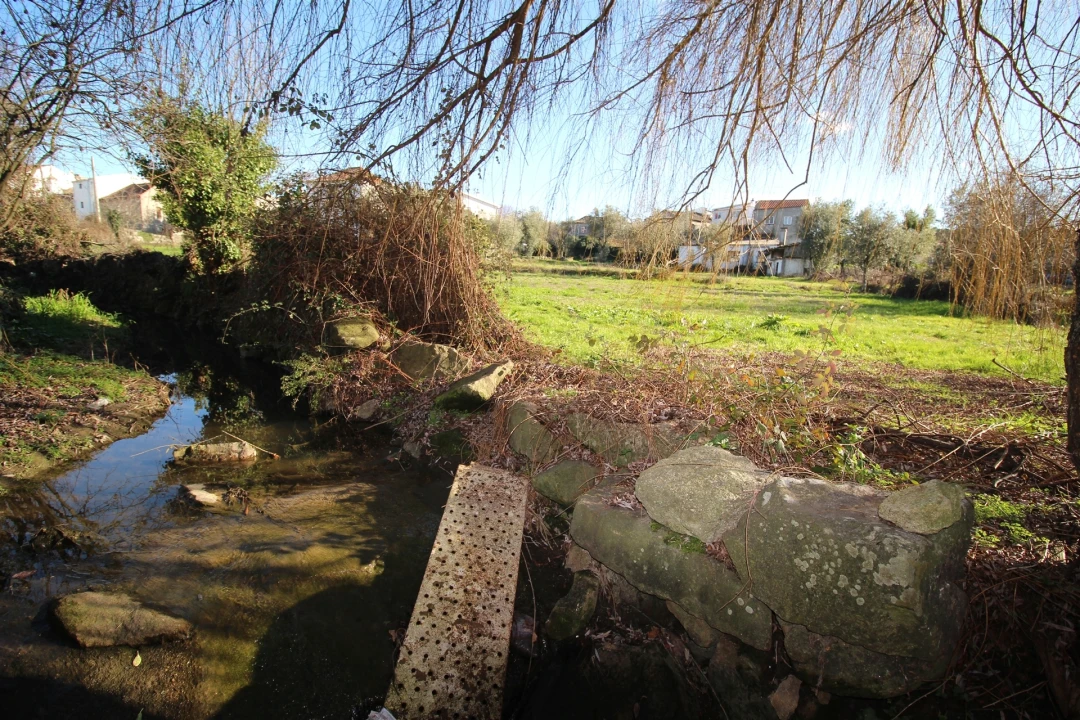 Moradia T4 para Venda em Vila Nova de Tazem Foto 19