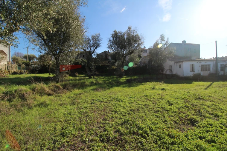 Moradia T4 para Venda em Vila Nova de Tazem Foto 13