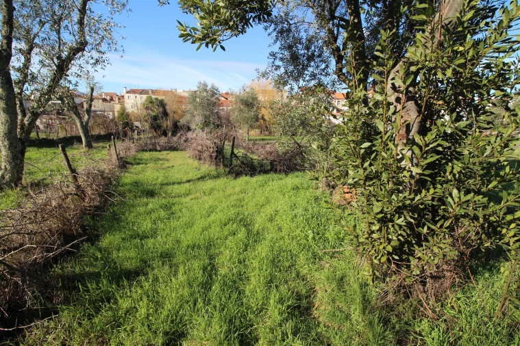 Moradia T4 para Venda em Vila Nova de Tazem Foto 17