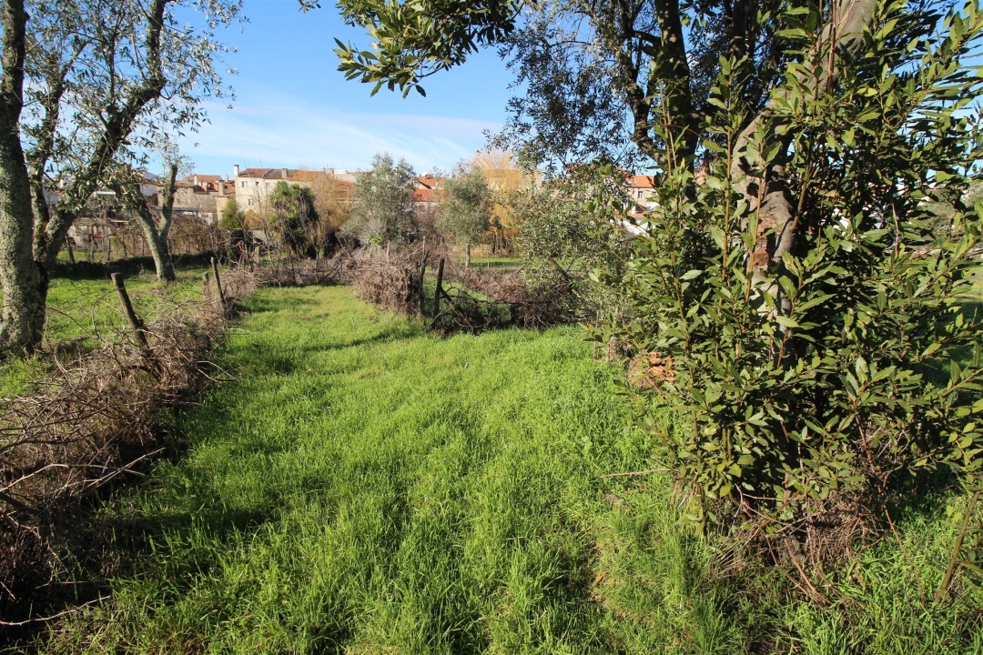 Moradia T4 para Venda em Vila Nova de Tazem Foto 17