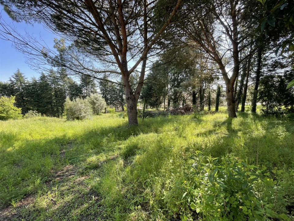 Moradia T5 para Venda em Rio Torto e Lagarinhos Foto 4