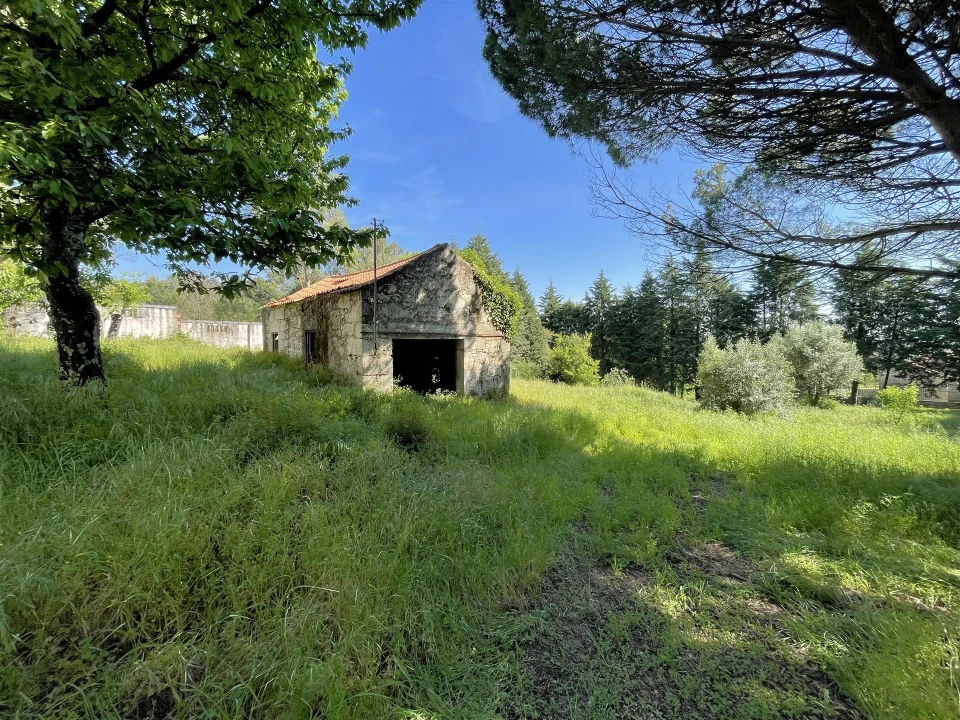 Moradia T5 para Venda em Rio Torto e Lagarinhos Foto 5