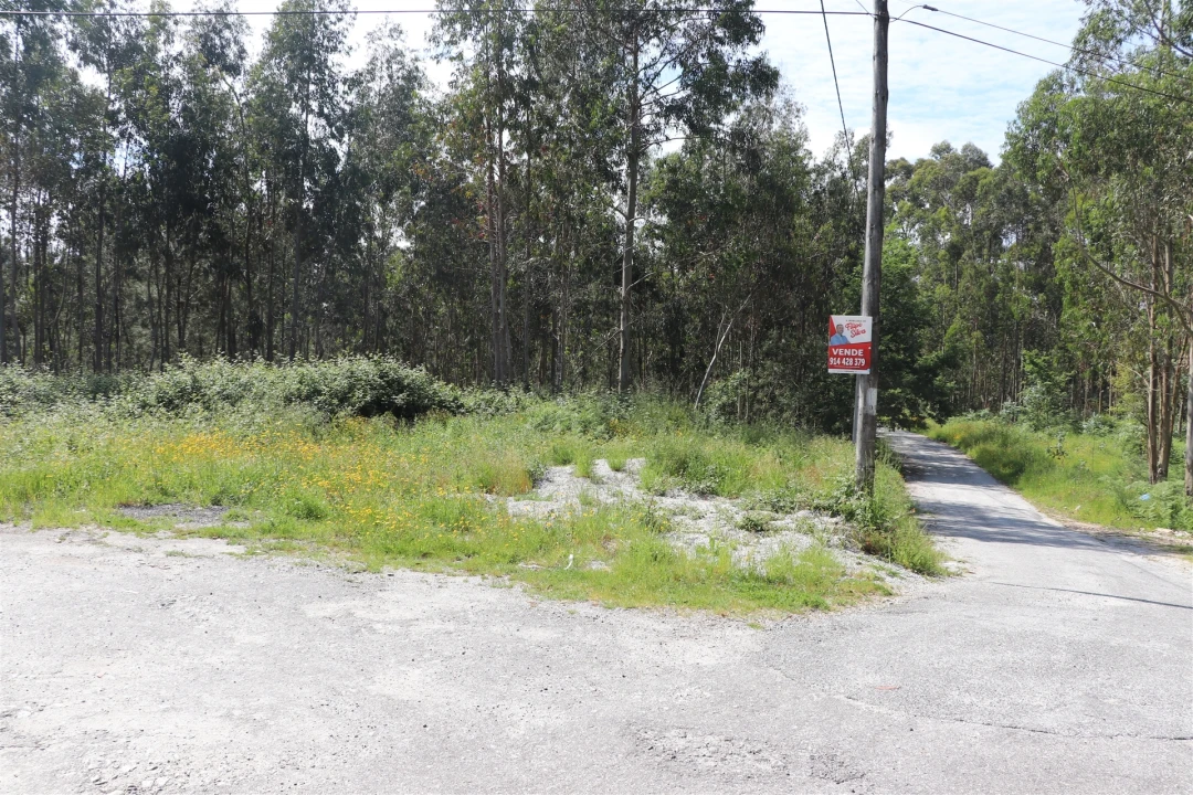 Terreno para Venda em Lustosa e Barrosas (Santo Estêvão) Foto 1