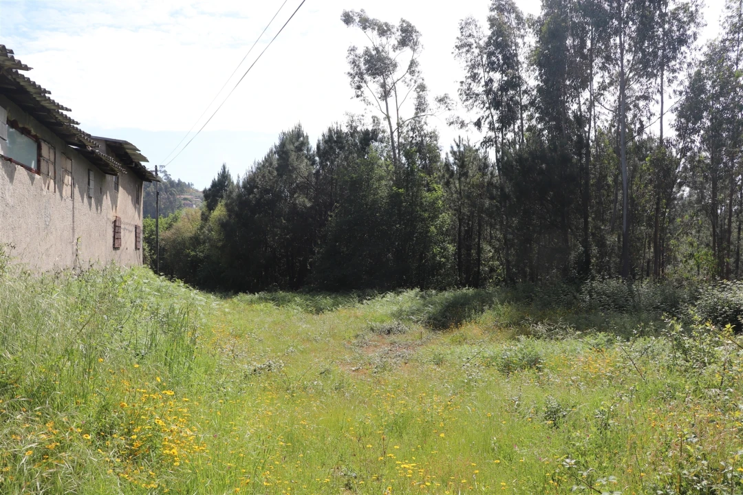 Terreno para Venda em Lustosa e Barrosas (Santo Estêvão) Foto 12