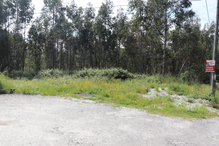 Terreno para Venda em Lustosa e Barrosas (Santo Estêvão) Foto 2