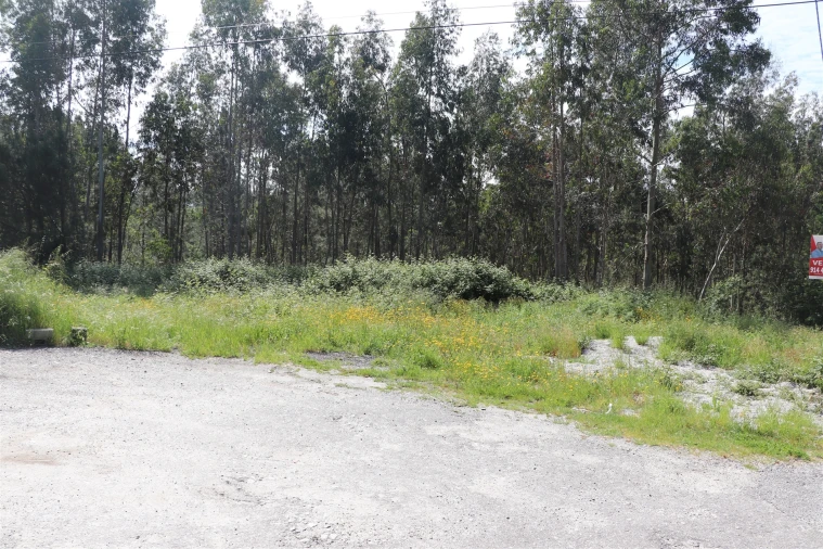 Terreno para Venda em Lustosa e Barrosas (Santo Estêvão) Foto 3