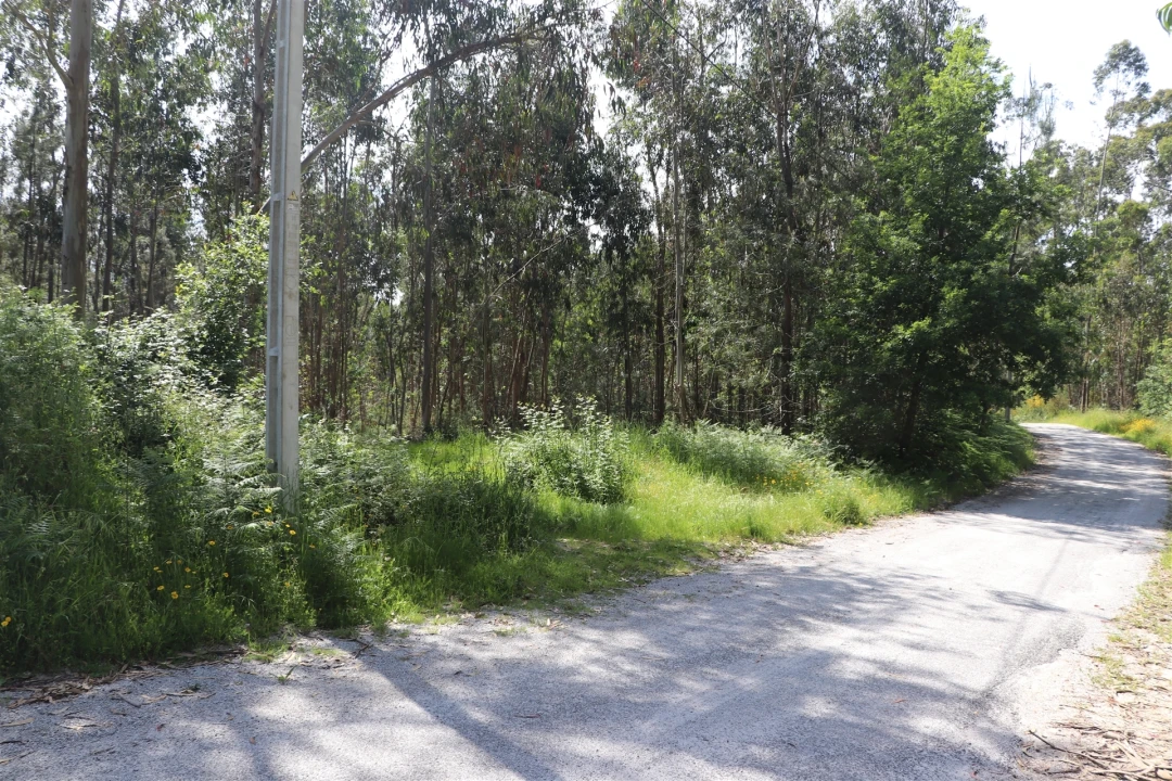 Terreno para Venda em Lustosa e Barrosas (Santo Estêvão) Foto 8