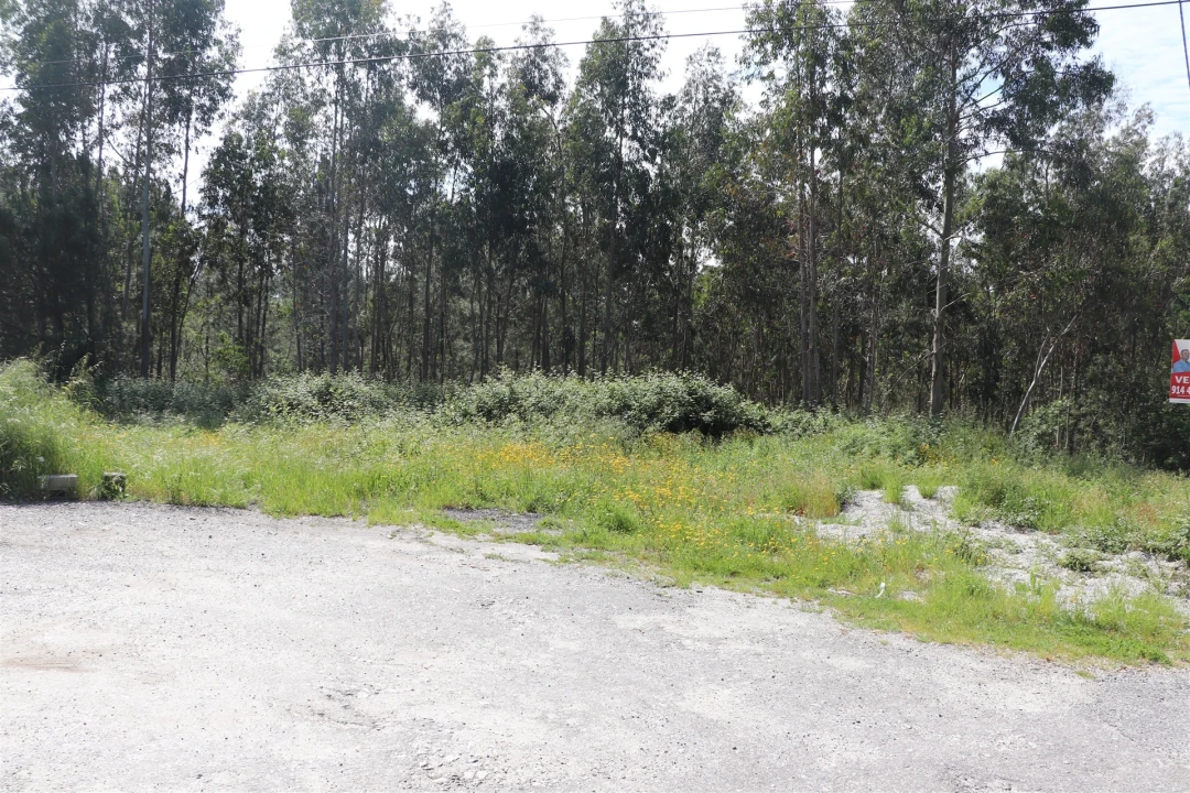 Terreno para Venda em Lustosa e Barrosas (Santo Estêvão) Foto 3