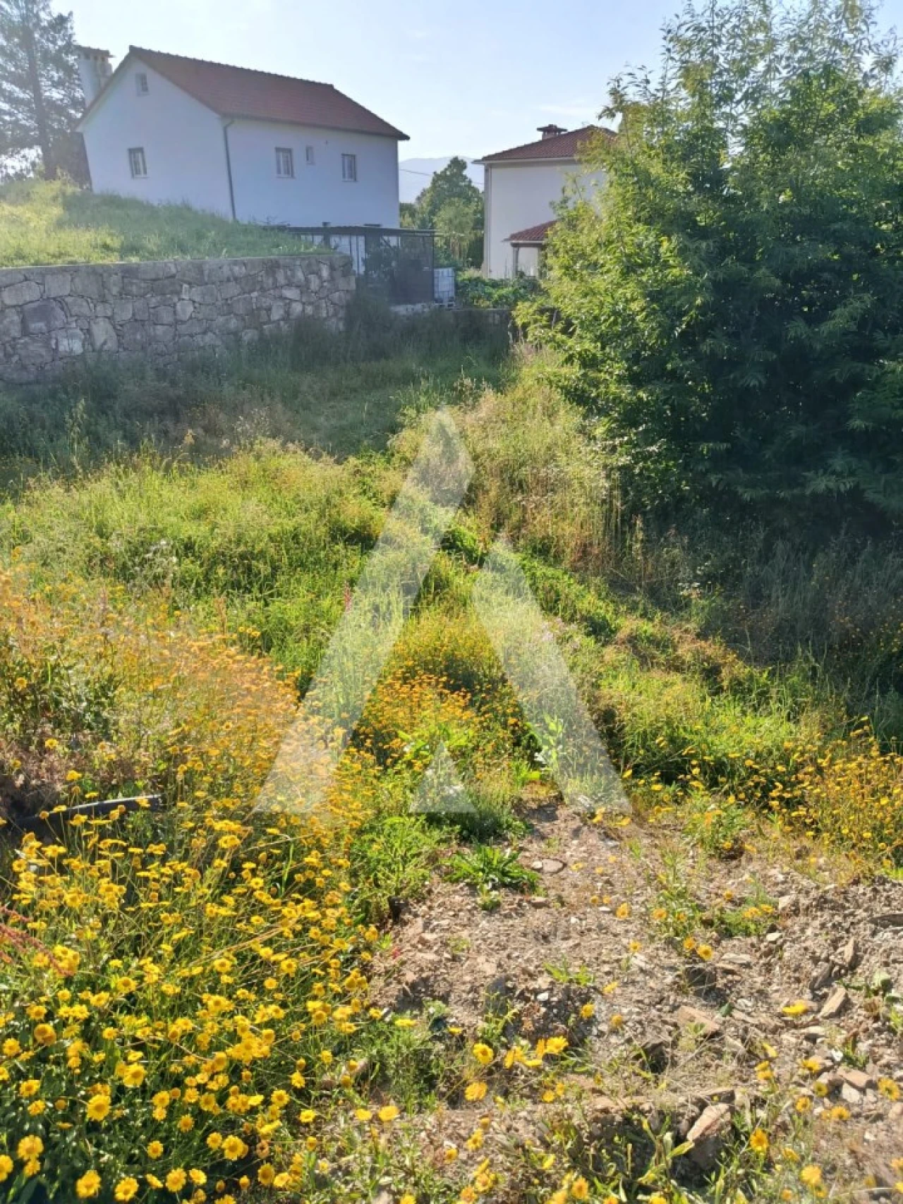 Terreno para Venda em Arca e Ponte de Lima Foto 6