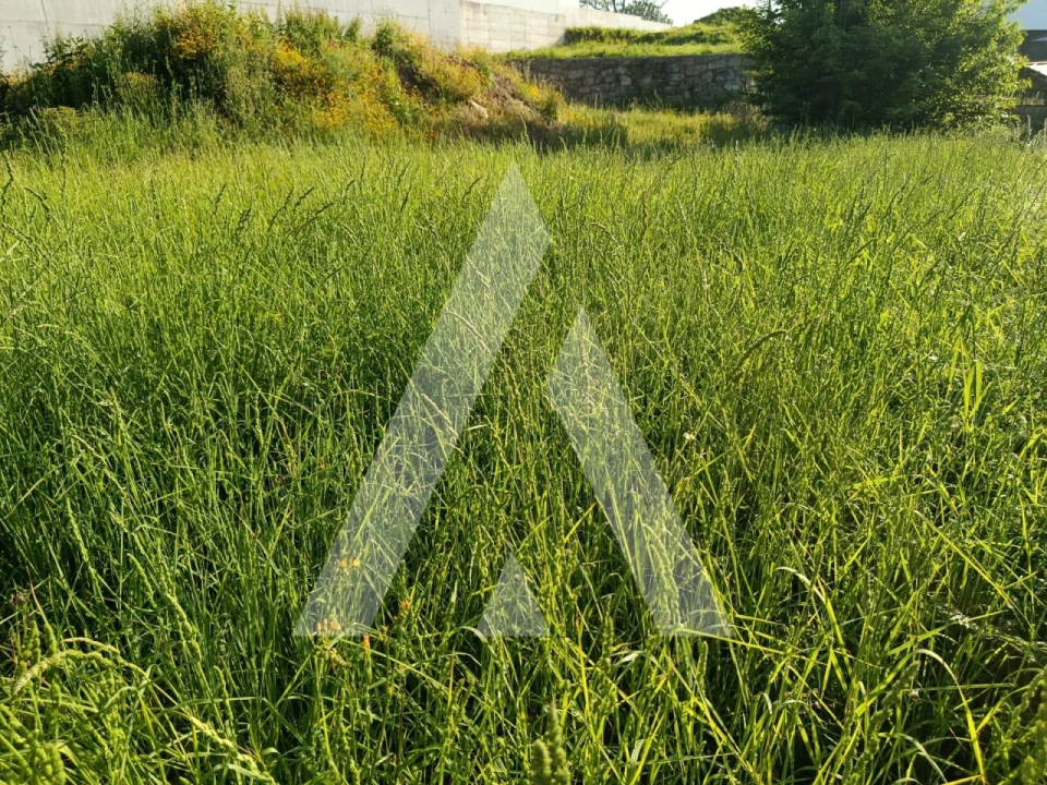 Terreno para Venda em Arca e Ponte de Lima Foto 2