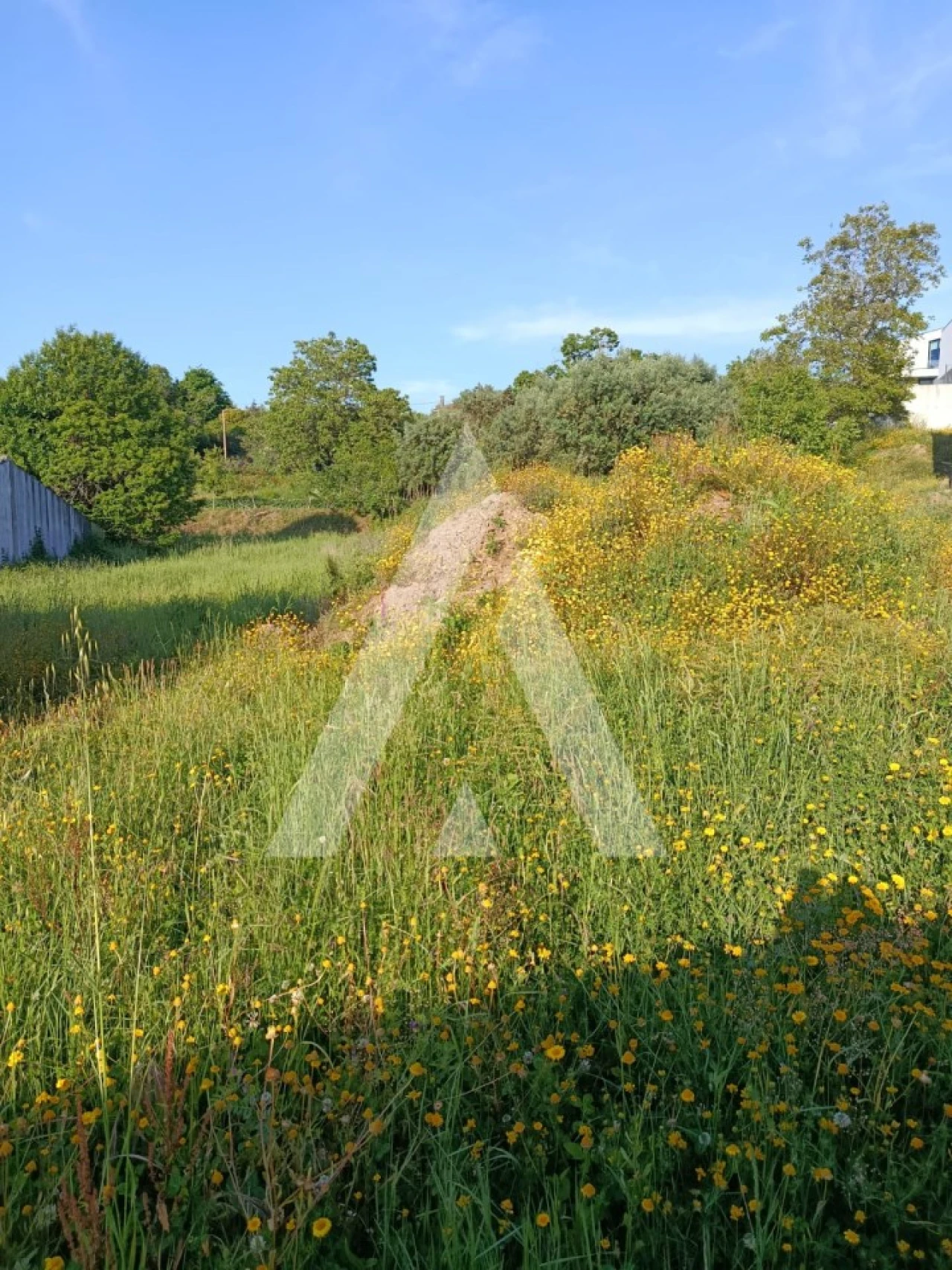 Terreno para Venda em Arca e Ponte de Lima Foto 3