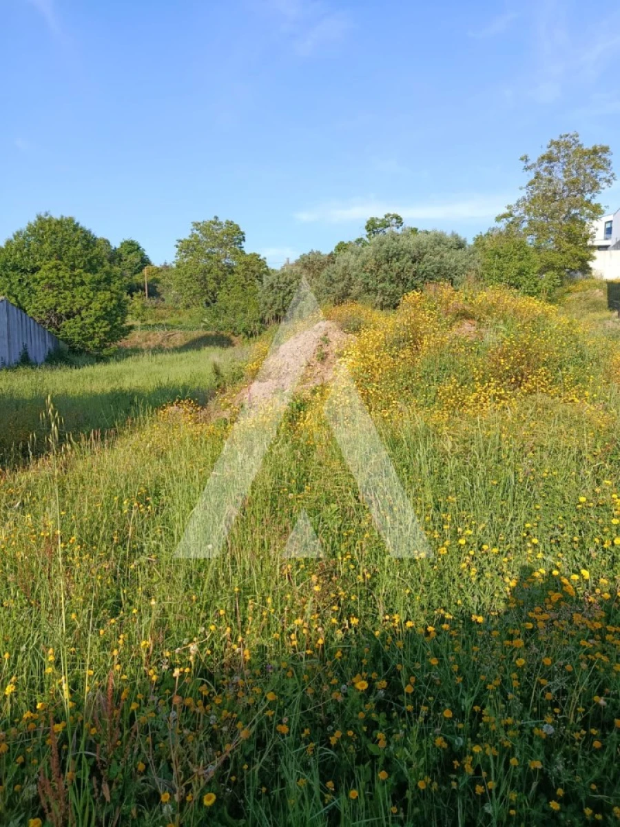 Terreno para Venda em Arca e Ponte de Lima Foto 3
