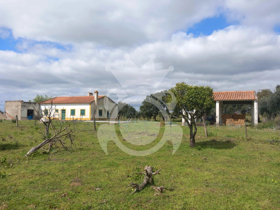 Quinta T5 para Venda em Vila Nova da Baronia Foto 7