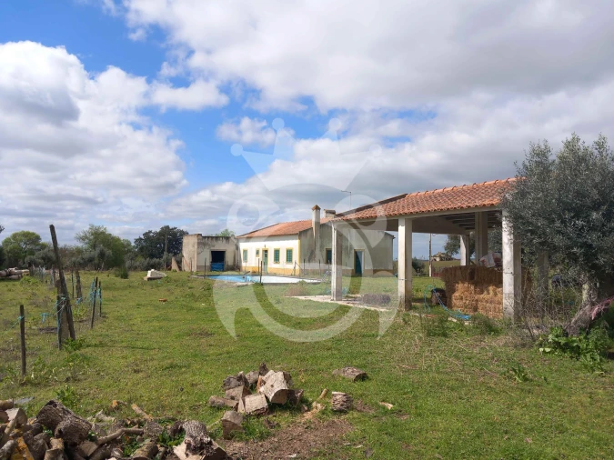 Quinta T5 para Venda em Vila Nova da Baronia Foto 8