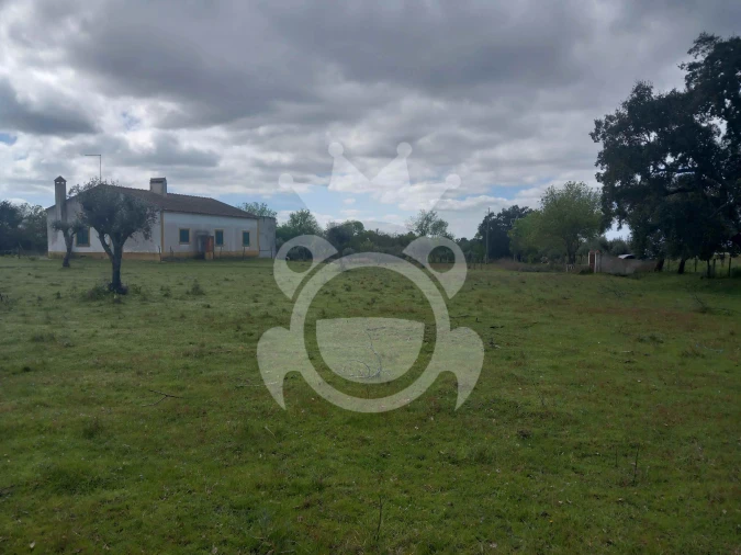 Quinta T5 para Venda em Vila Nova da Baronia Foto 4