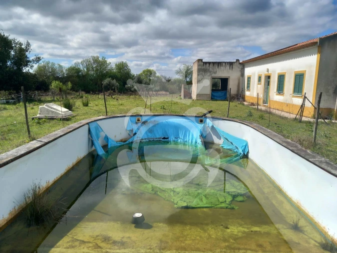 Quinta T5 para Venda em Vila Nova da Baronia Foto 6