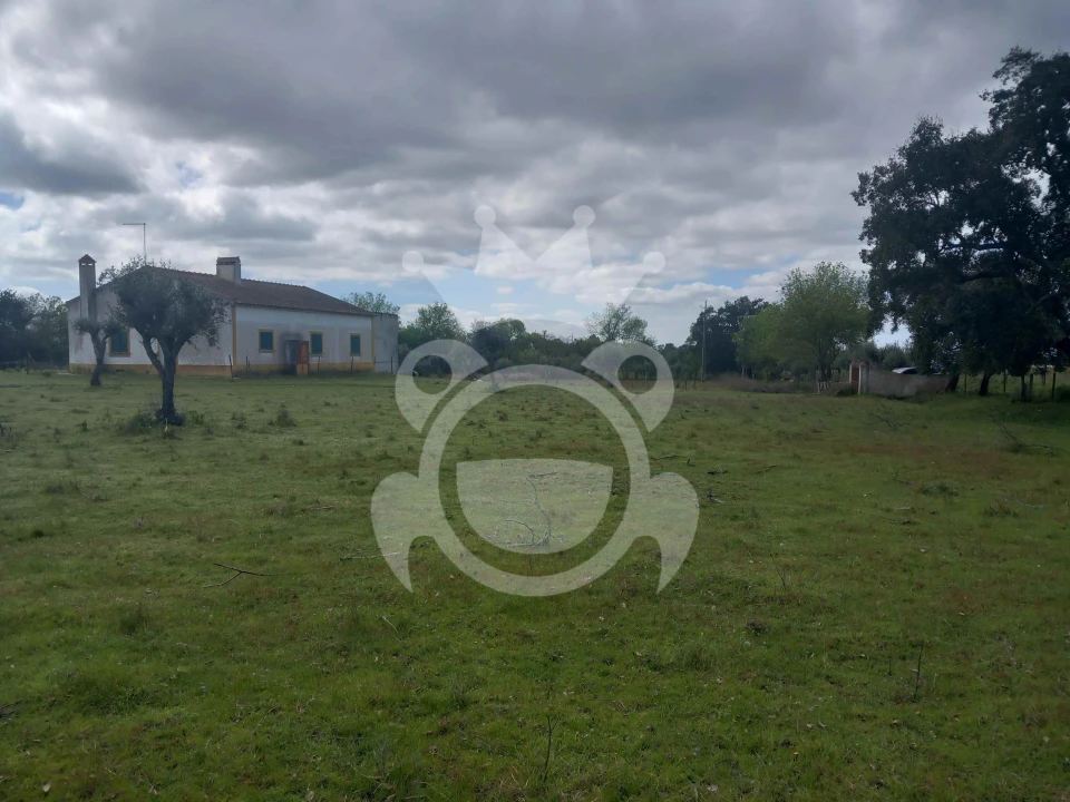 Quinta T5 para Venda em Vila Nova da Baronia Foto 4