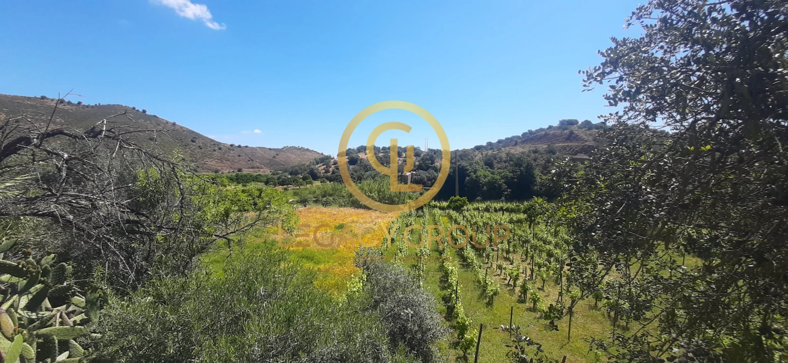 Terreno para Venda em Odeleite Foto 7