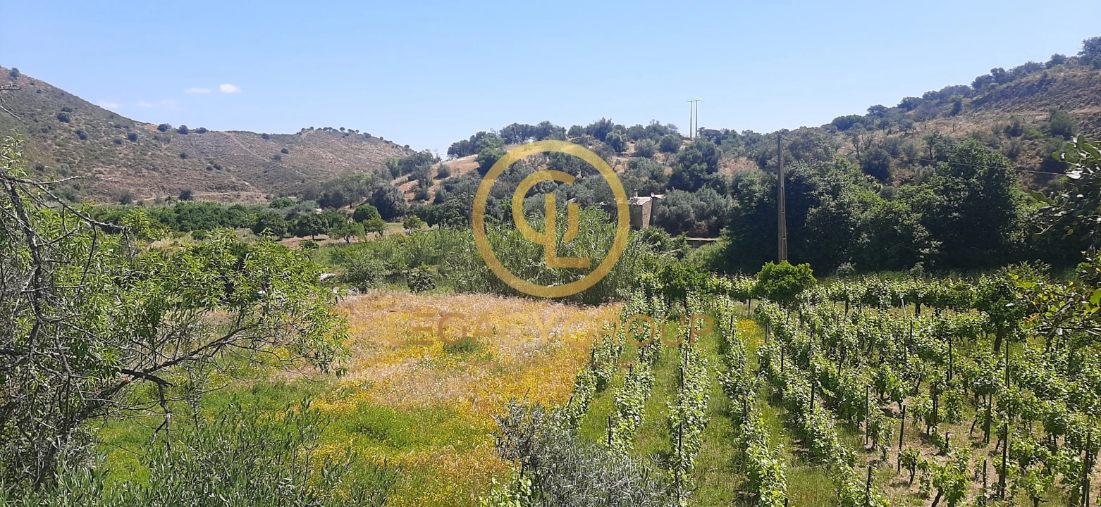 Terreno para Venda em Odeleite Foto 6