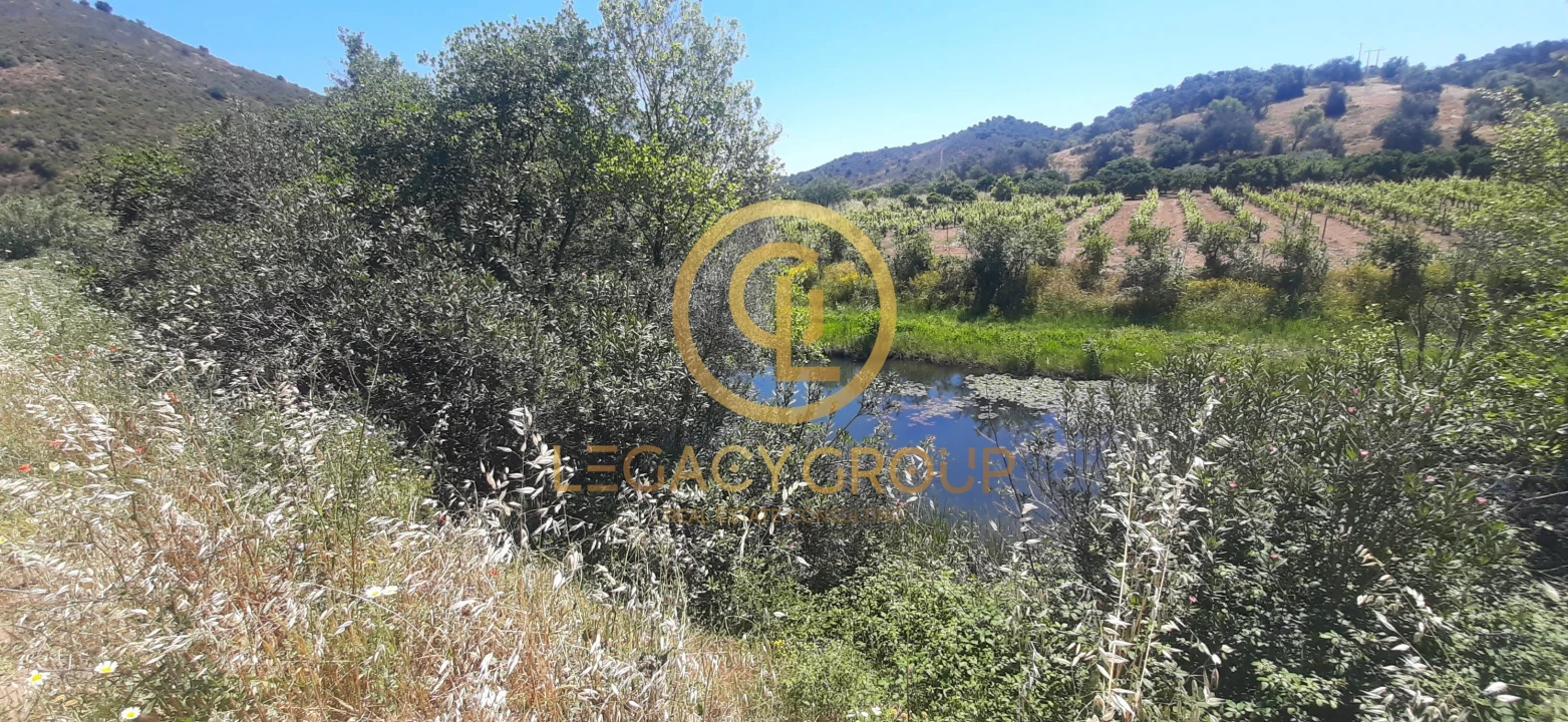 Terreno para Venda em Odeleite Foto 1