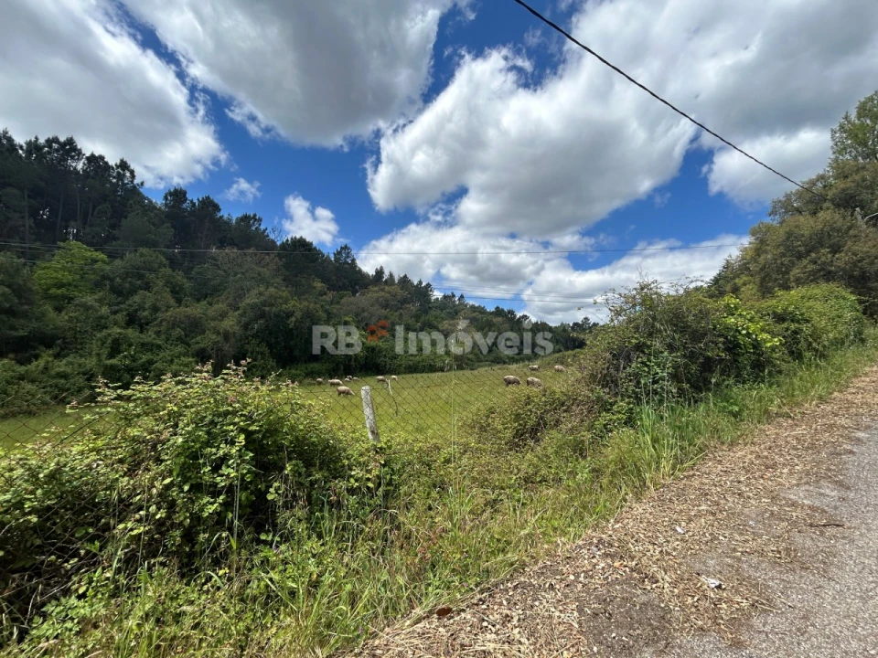 Terreno Agricola ou Rústico para Venda em Ferreira do Zezere Foto 3