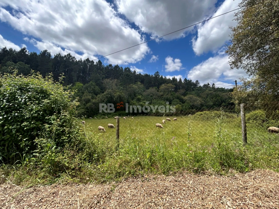 Terreno Agricola ou Rústico para Venda em Ferreira do Zezere Foto 4