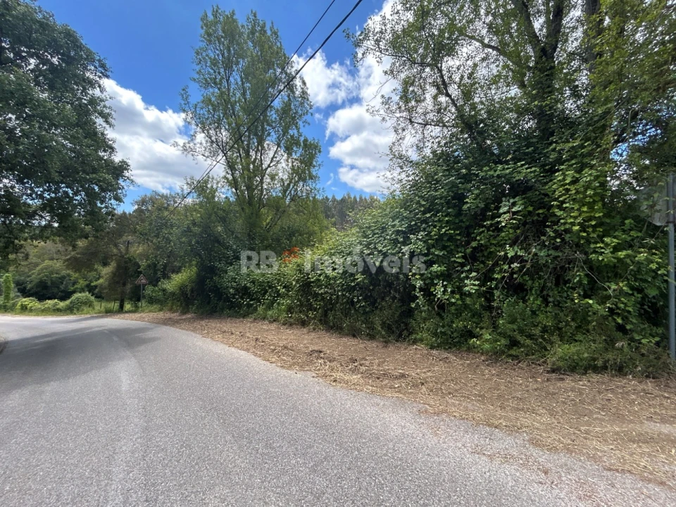 Terreno Agricola ou Rústico para Venda em Ferreira do Zezere Foto 6