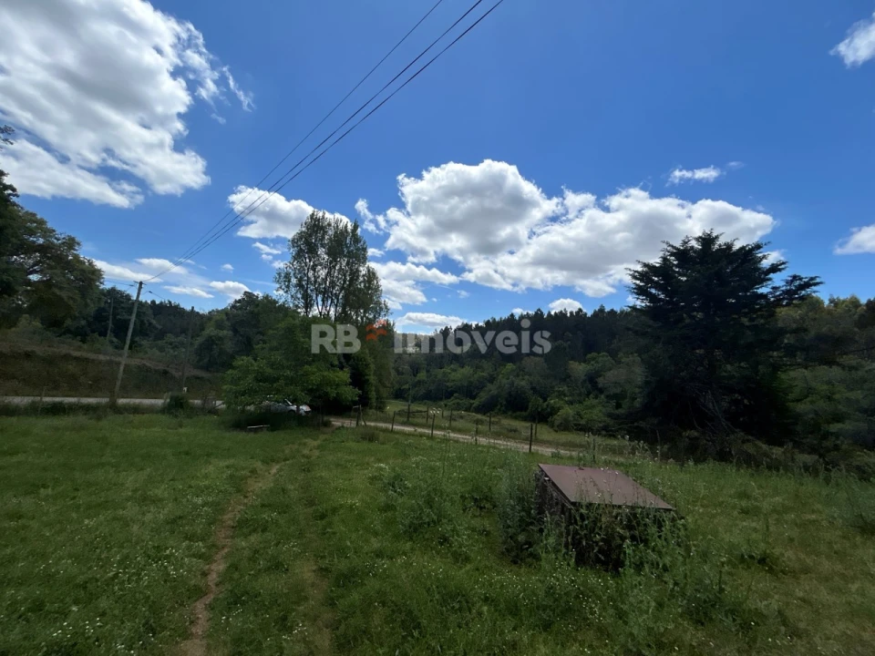 Terreno Agricola ou Rústico para Venda em Ferreira do Zezere Foto 8