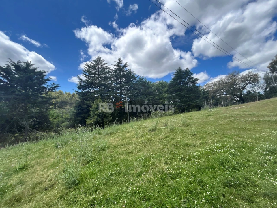 Terreno Agricola ou Rústico para Venda em Ferreira do Zezere Foto 11