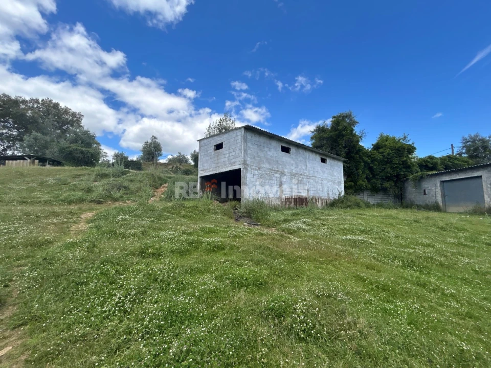 Terreno Agricola ou Rústico para Venda em Ferreira do Zezere Foto 14