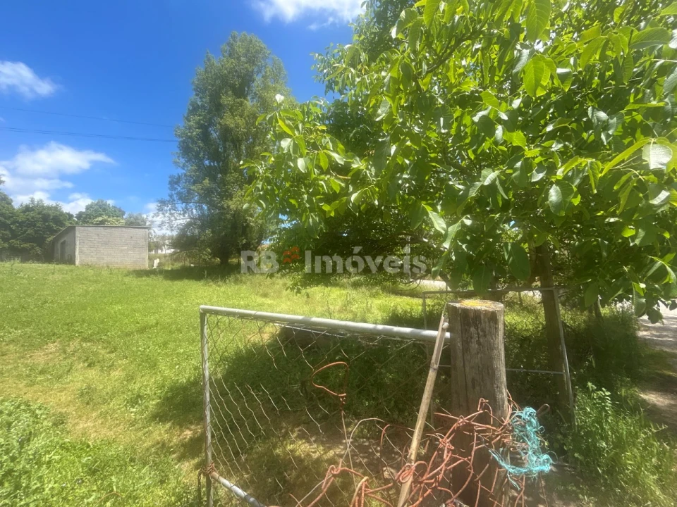 Terreno Agricola ou Rústico para Venda em Ferreira do Zezere Foto 16