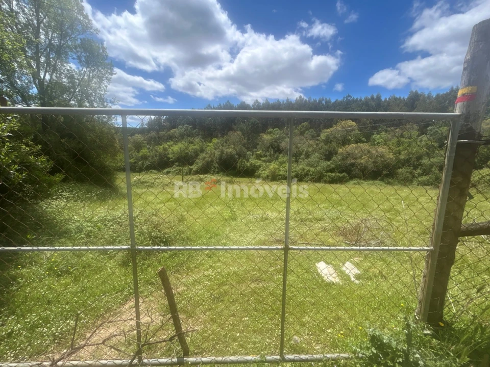 Terreno Agricola ou Rústico para Venda em Ferreira do Zezere Foto 21