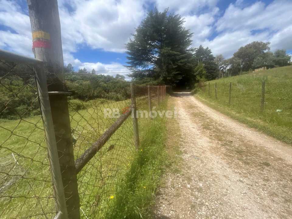 Terreno Agricola ou Rústico para Venda em Ferreira do Zezere Foto 22