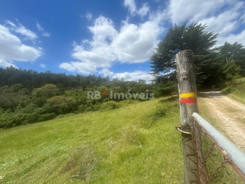 Terreno Agricola ou Rústico para Venda em Ferreira do Zezere Foto 23