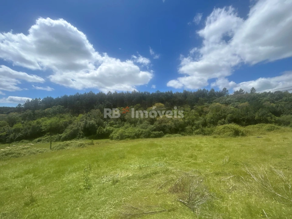 Terreno Agricola ou Rústico para Venda em Ferreira do Zezere Foto 24
