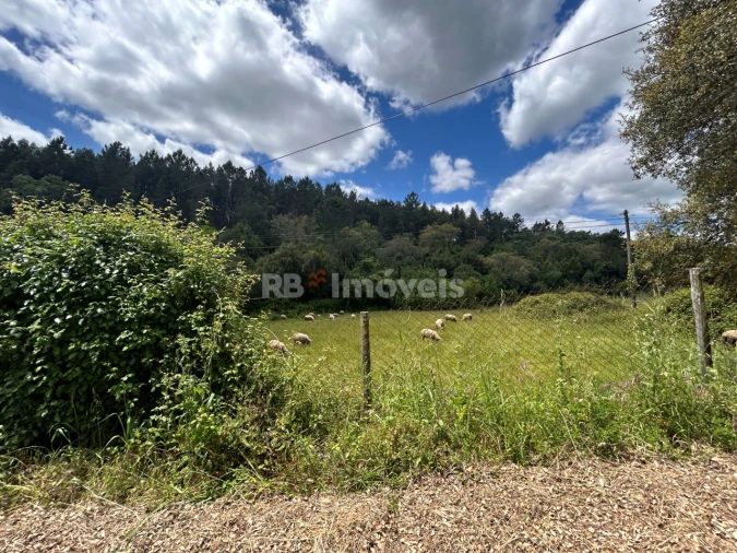 Terreno Agricola ou Rústico para Venda em Ferreira do Zezere