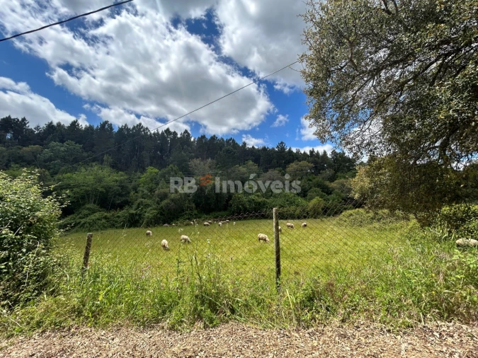 Terreno Agricola ou Rústico para Venda em Ferreira do Zezere Foto 5