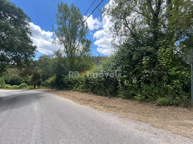 Terreno Agricola ou Rústico para Venda em Ferreira do Zezere Foto 6