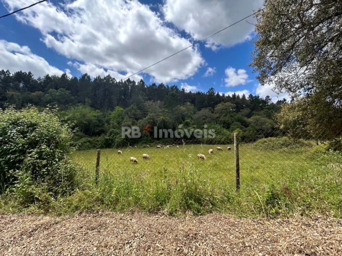Terreno Agricola ou Rústico para Venda em Ferreira do Zezere Foto 7