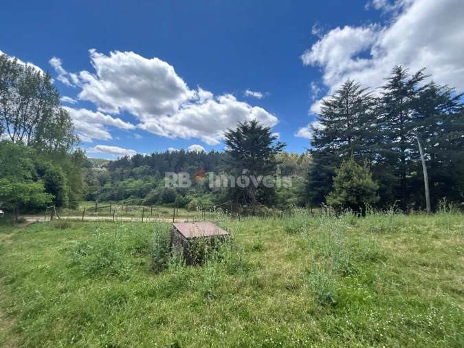 Terreno Agricola ou Rústico para Venda em Ferreira do Zezere Foto 10
