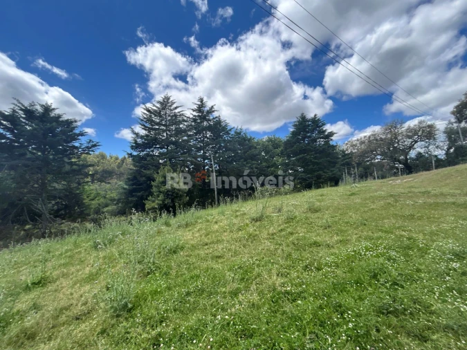 Terreno Agricola ou Rústico para Venda em Ferreira do Zezere Foto 11