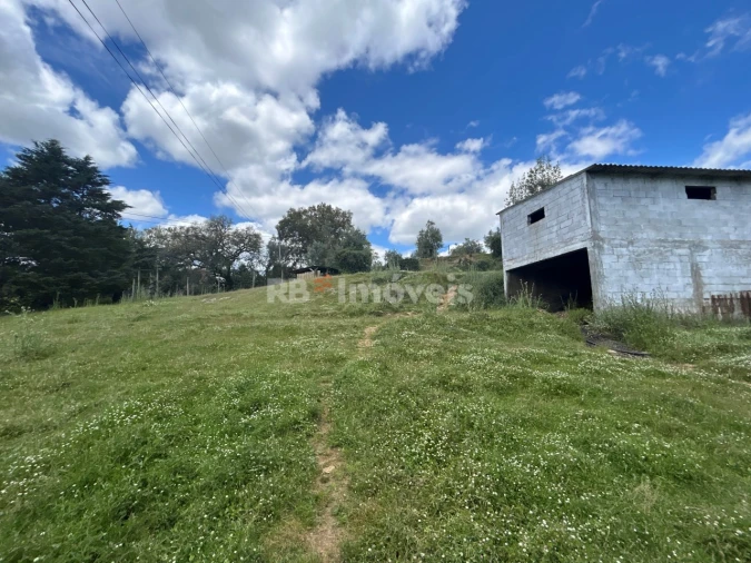 Terreno Agricola ou Rústico para Venda em Ferreira do Zezere Foto 12