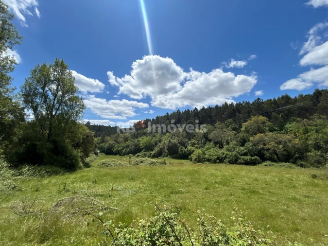 Terreno Agricola ou Rústico para Venda em Ferreira do Zezere Foto 15